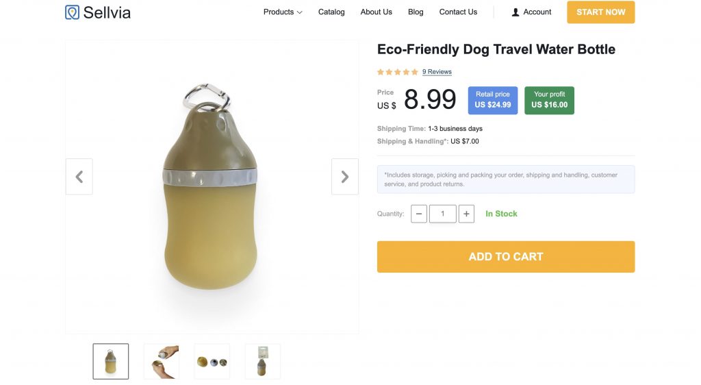 a picture showing an easy and eco-friendly way to keep your dog hydrated