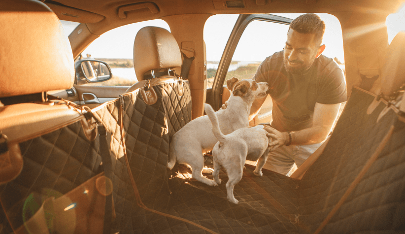 Travel Buddy Dog Seat Cover 