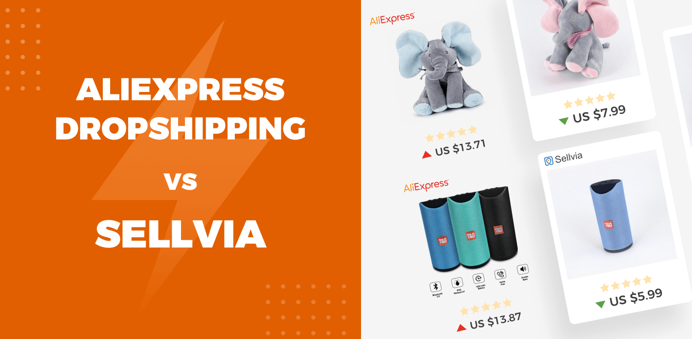 AliExpress Dropshipping VS Sellvia: How To Kick-Start A Money-Making Business?