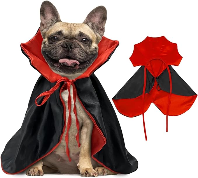 a picture showing what to sell for Halloween in your pet online store