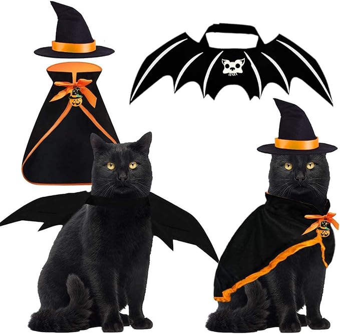 a picture showing a cat witch costume to sell online this fall