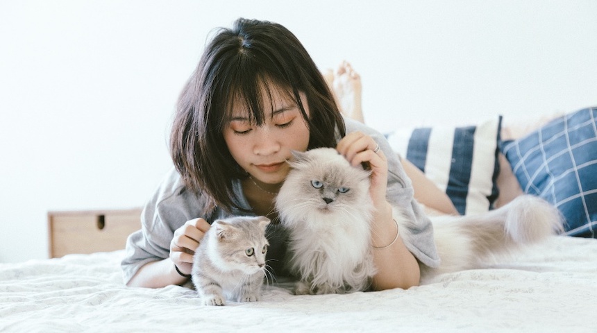a picture showing a girl loving pets