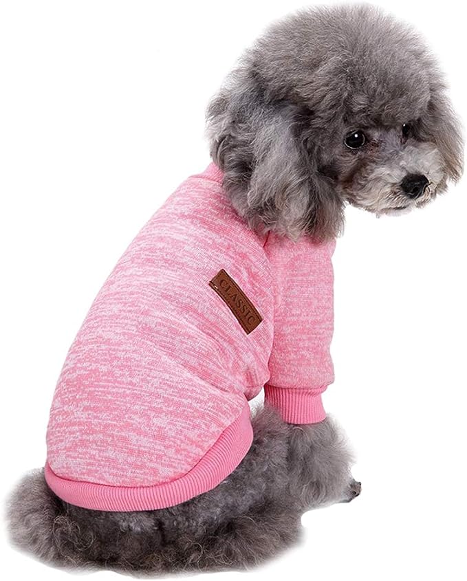 a picture showing what to sell on Amazon to make big sales -- it's pet clothing
