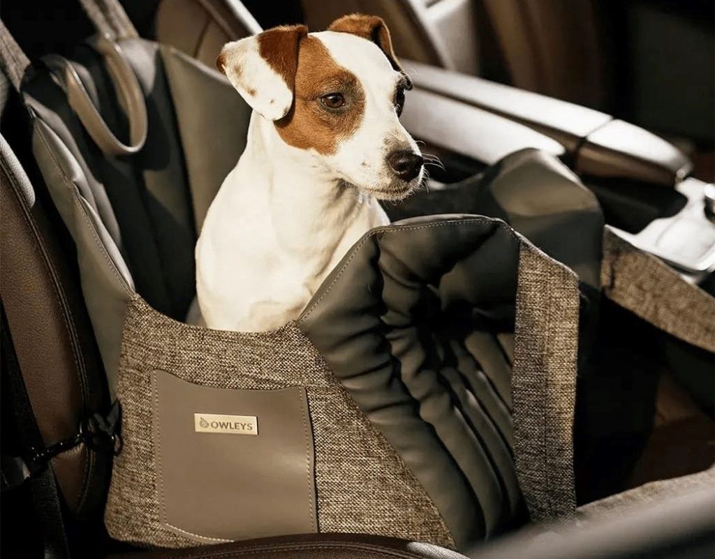 Sellvia catalog dog carrier product