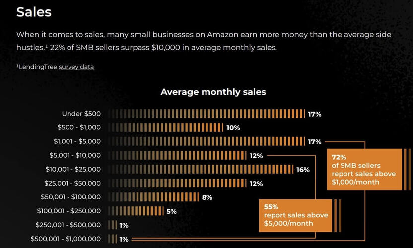 Screenshot of Amazon sales statistics