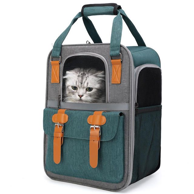 photo of outdoor supplies for pets