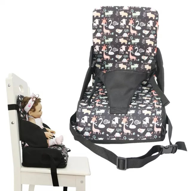 photo of a baby booster seat