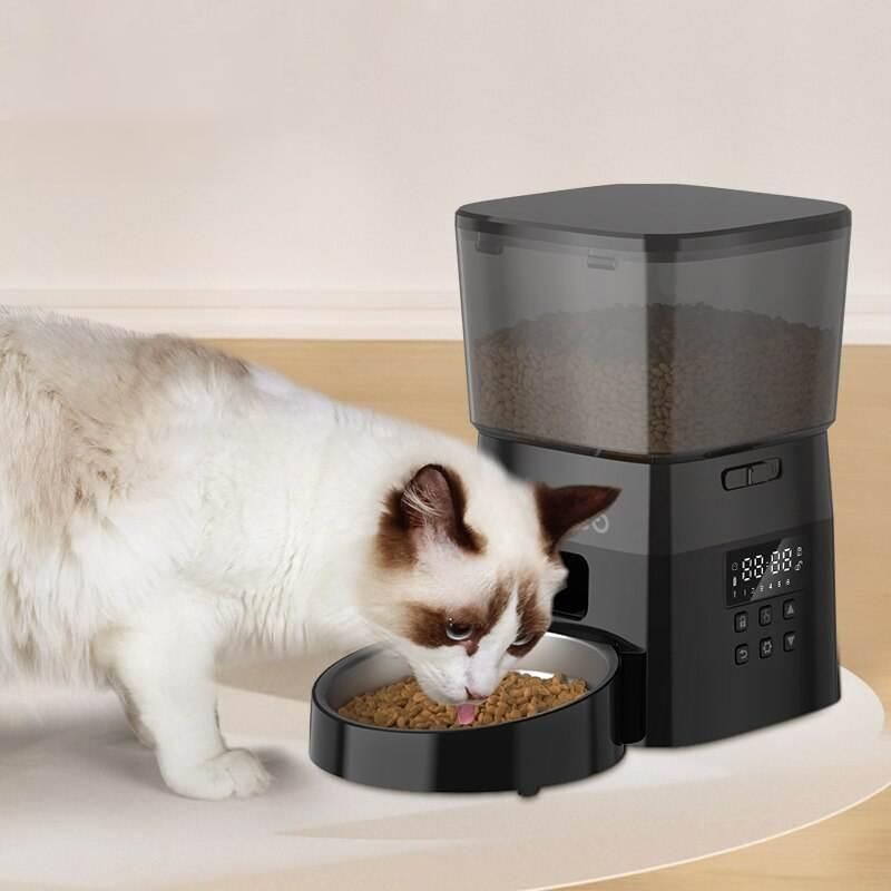 cat feeder best dropshipping pet products