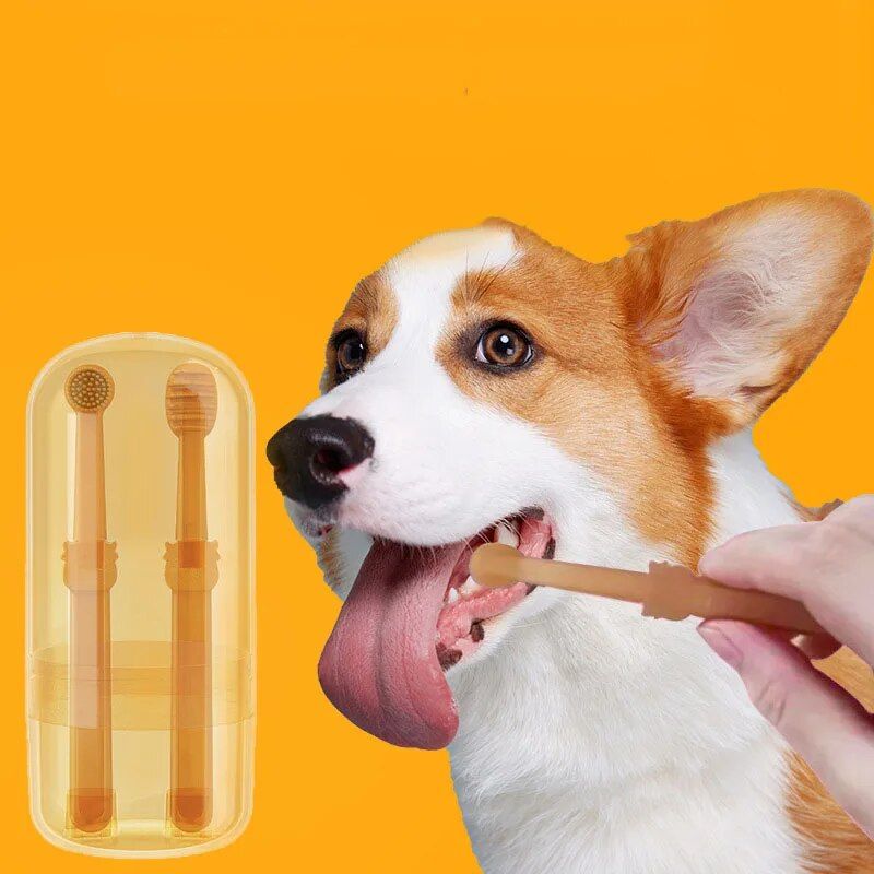 photo of a pet toothbrush