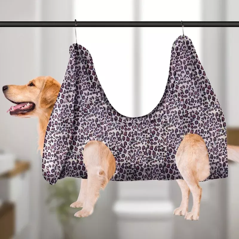 photo of a dog hanging on the ceiling