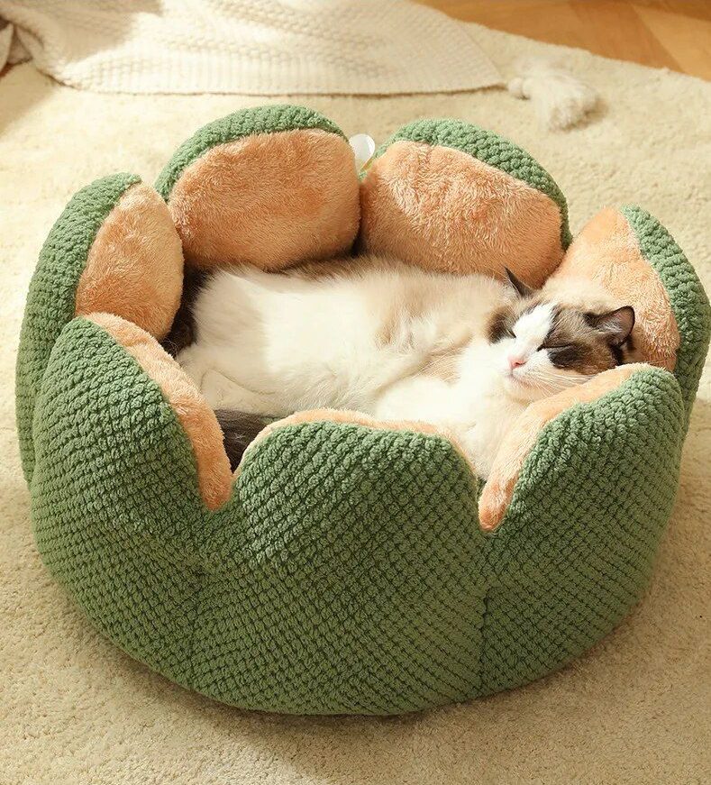 photo of a cat bed