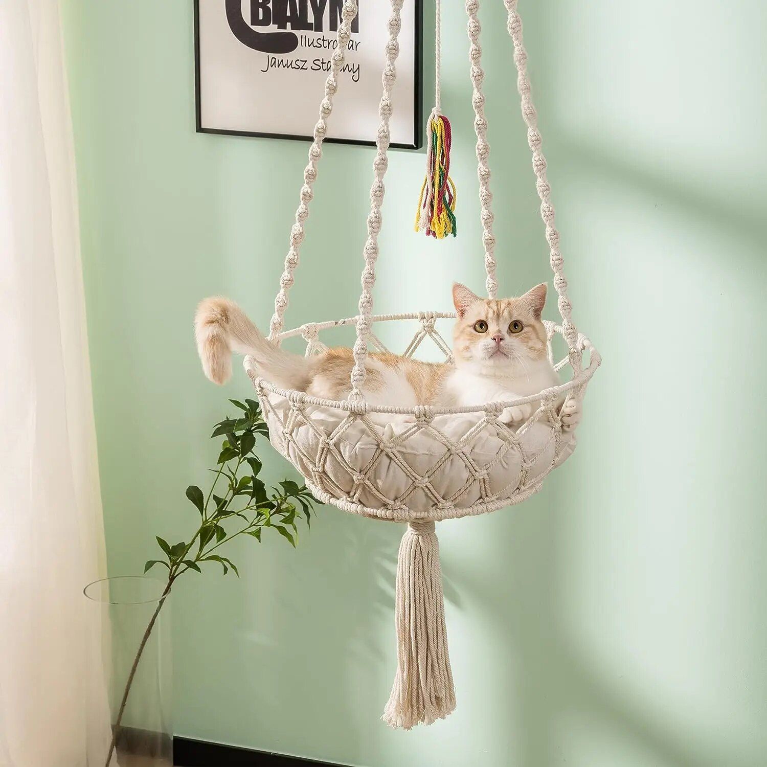 photo of a cat hammock