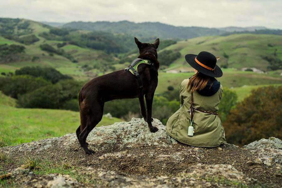 Photo of a dog and a woman looking at the horizon