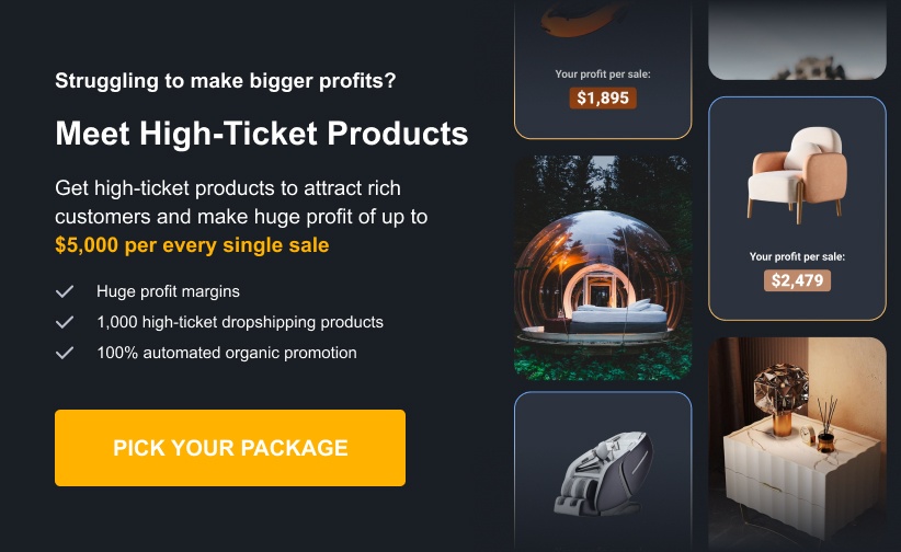 high ticket dropshipping business 