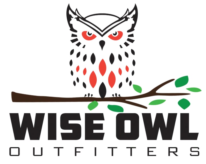 picture wise owl logo