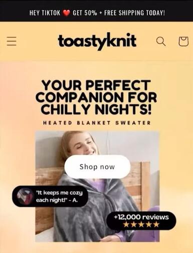 photo website online store toastyknit
