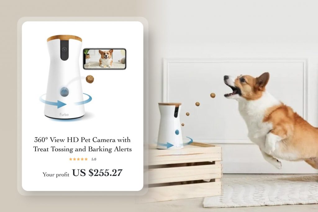 pet camera