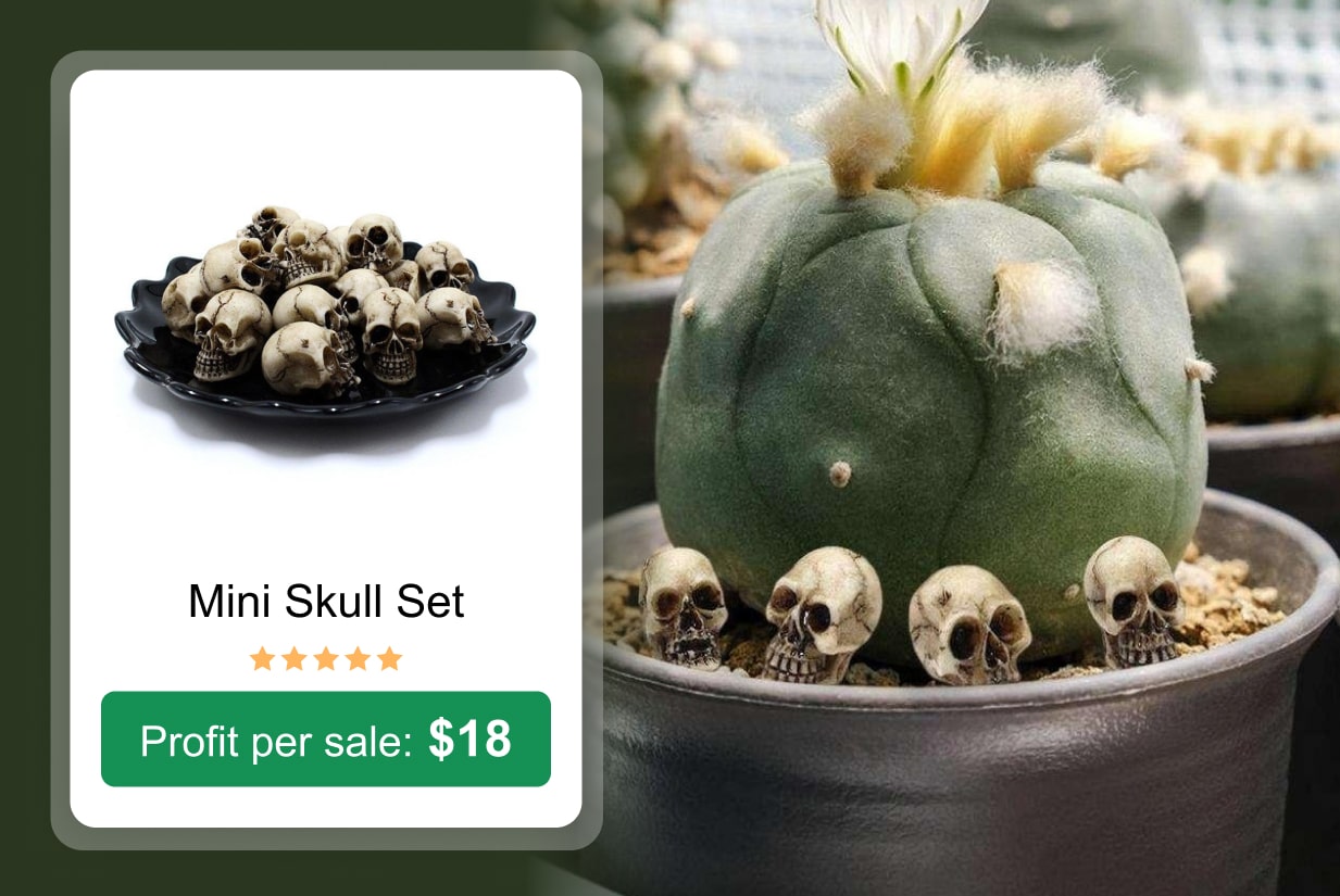 Mini Skull Set 
