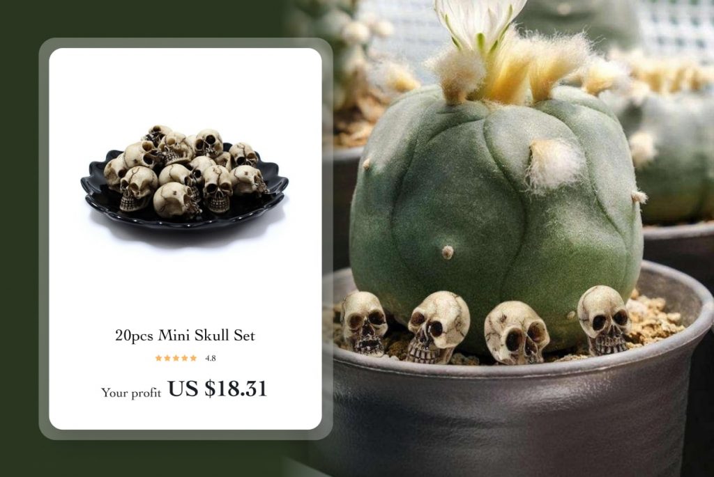 20pcs Mini Skull Set halloween business