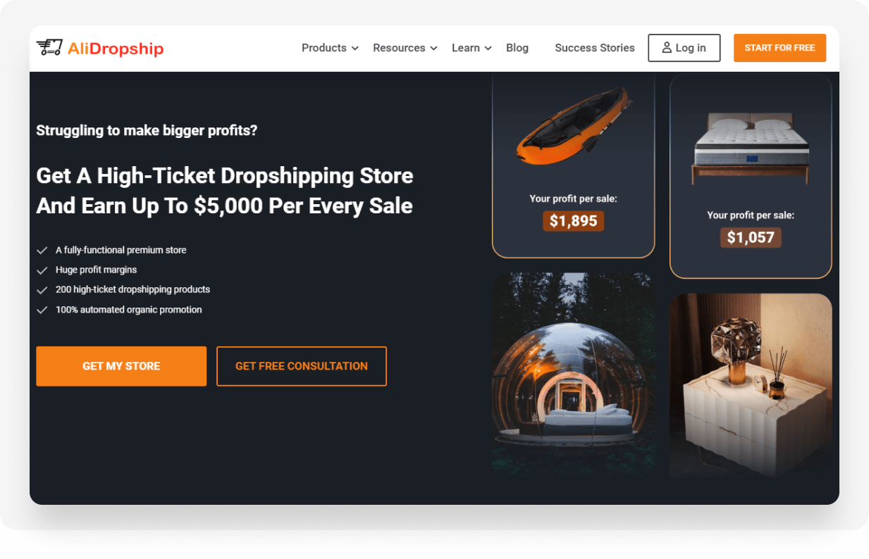 alidropship high ticket store