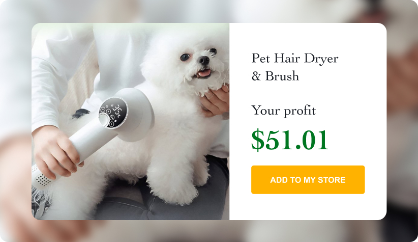 Professional Pet Hair Dryer & Brush 