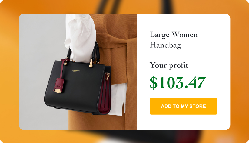 Large Women Handbag