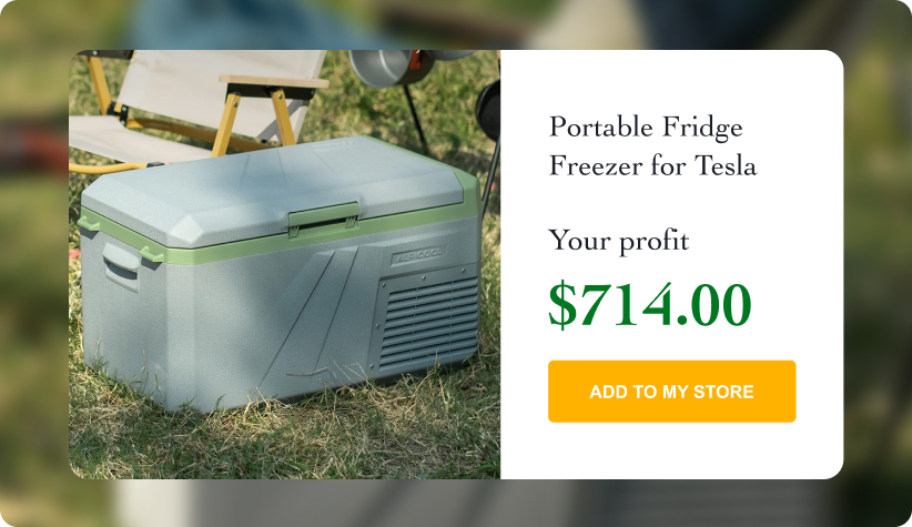 Portable Fridge Freezer for Tesla