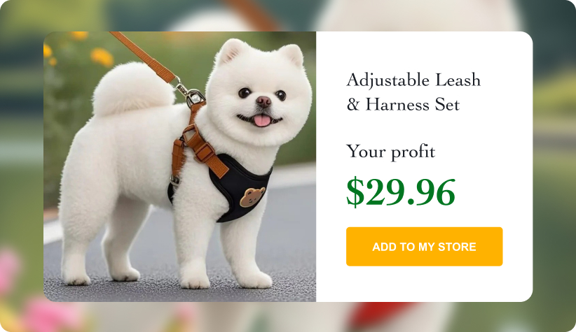 Adjustable Leash & Harness Set 