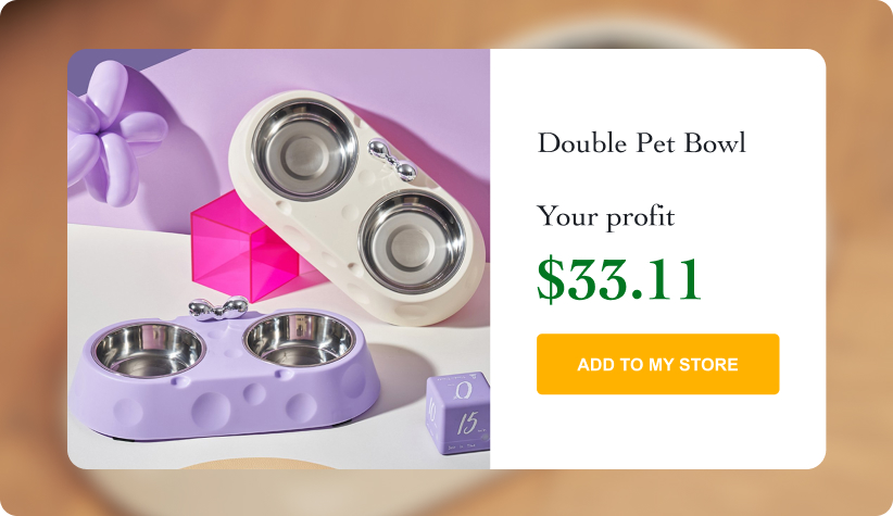 Double Stainless Steel Pet Bowl 