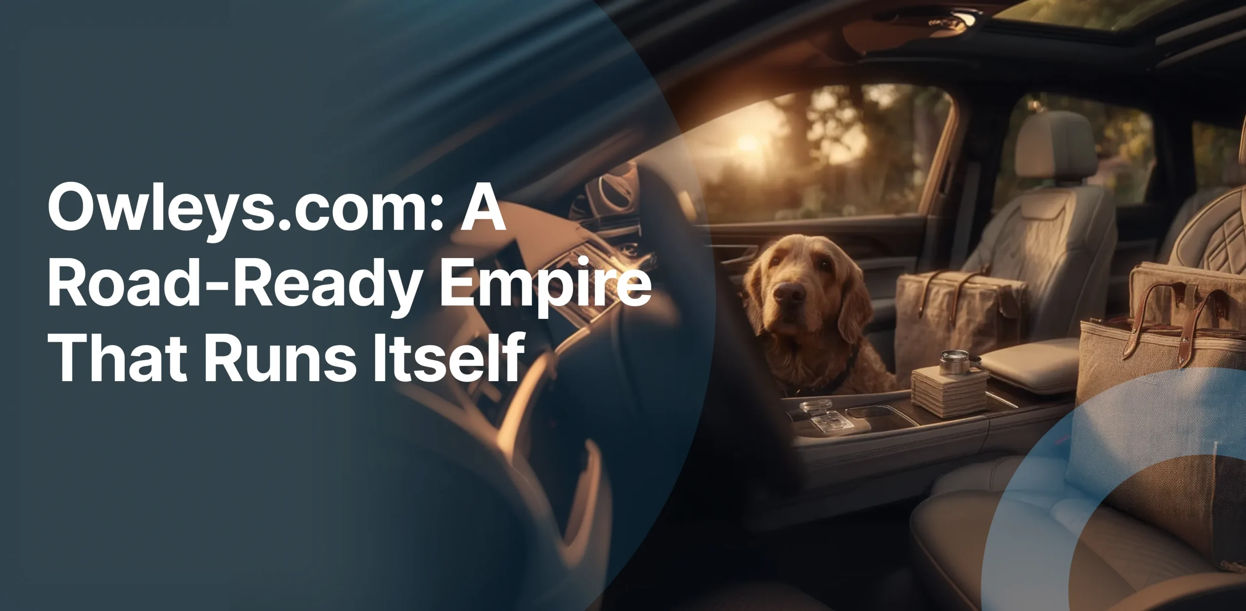 owleys-com-car-accessories-ecommerce-business-for-sale