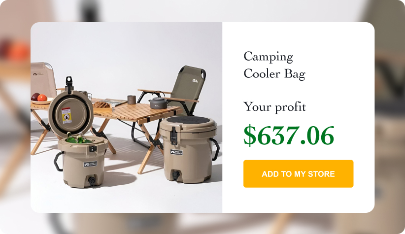 Camping Cooler Bag