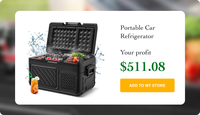 Portable Car Refrigerator