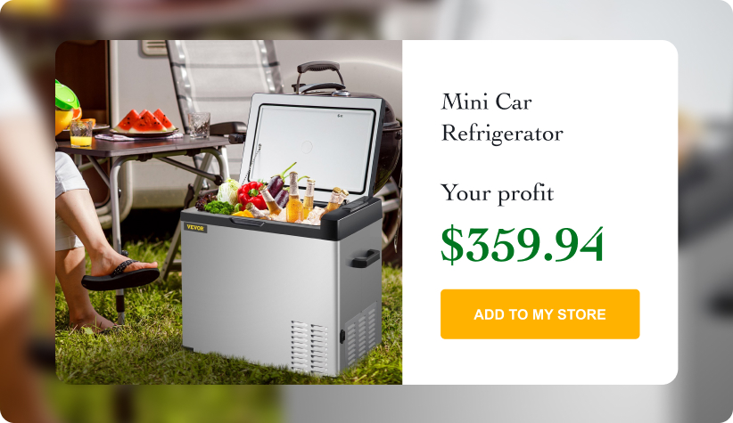 Mini Car Refrigerator