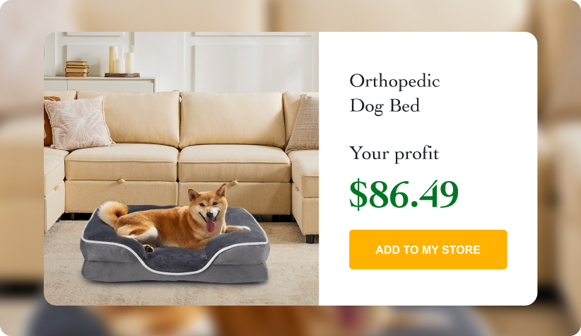Orthopedic Dog Bed